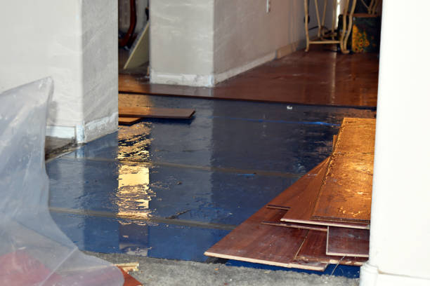 Professional Sewage Cleanup technician working in Carsonville, MI